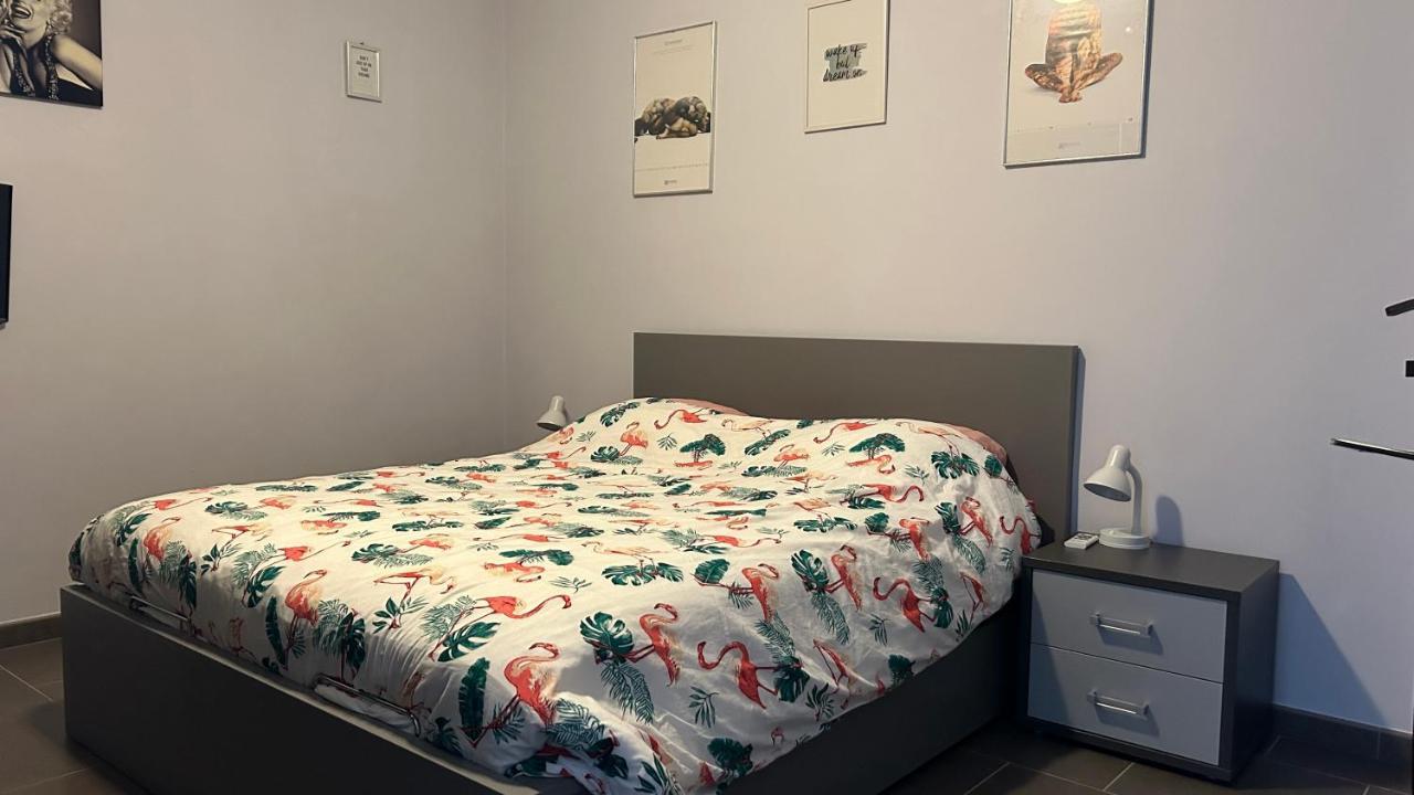 Ruime Studio In Deurne Antwerpen Eksteriør bilde